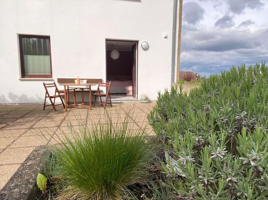 Apartment Am Golfplatz Obernkirchen المظهر الخارجي الصورة